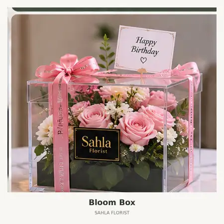 Bloom Box Regol